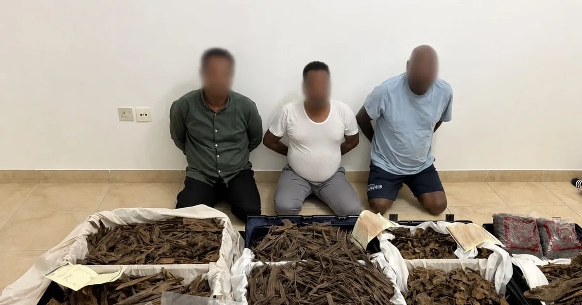 شرطة دبي تلاحق أربعة فارّين بعد قضية احتيال باستبدال عود بقيمة 12 مليون درهم
